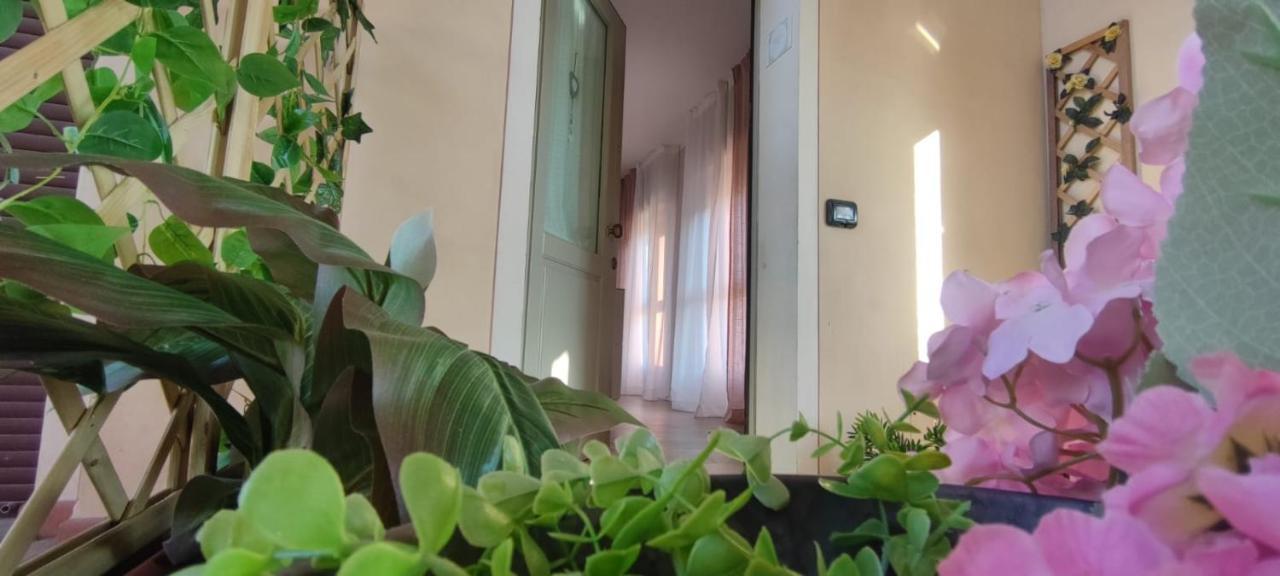 Il Tetto Dei Sogni Lägenhet Pistoia Exteriör bild