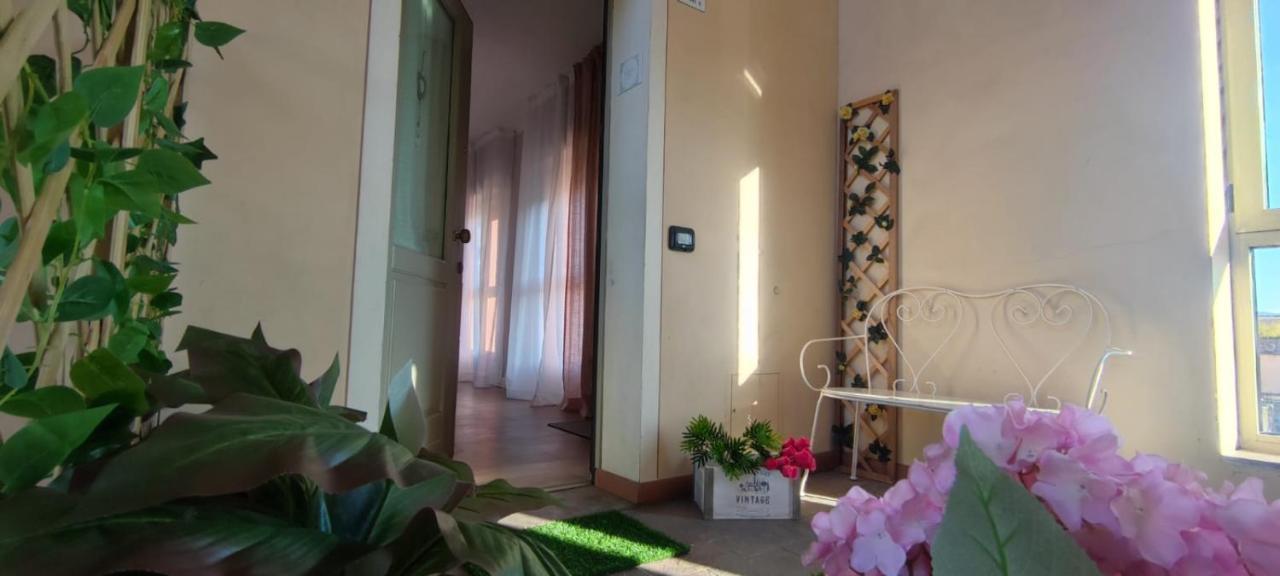 Il Tetto Dei Sogni Lägenhet Pistoia Exteriör bild